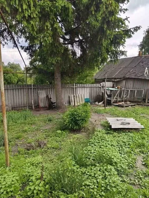 Дом в Белгородская область, Яковлевский муниципальный округ, Томаровка ... - Фото 2
