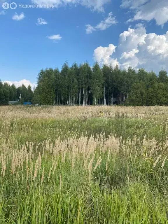 Участок в Заокский район, сельское поселение Страховское, деревня ... - Фото 1