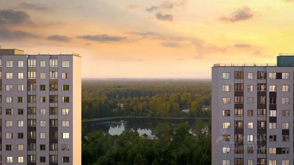 1-к кв. Санкт-Петербург ул. Чарушинская (34.8 м) - Фото 0