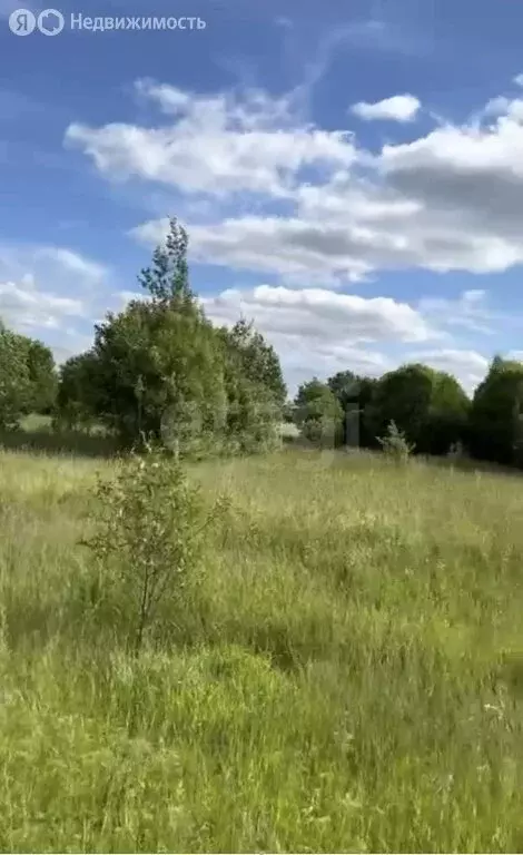 Участок в Урдома, Центральная улица (358879 м) - Фото 0