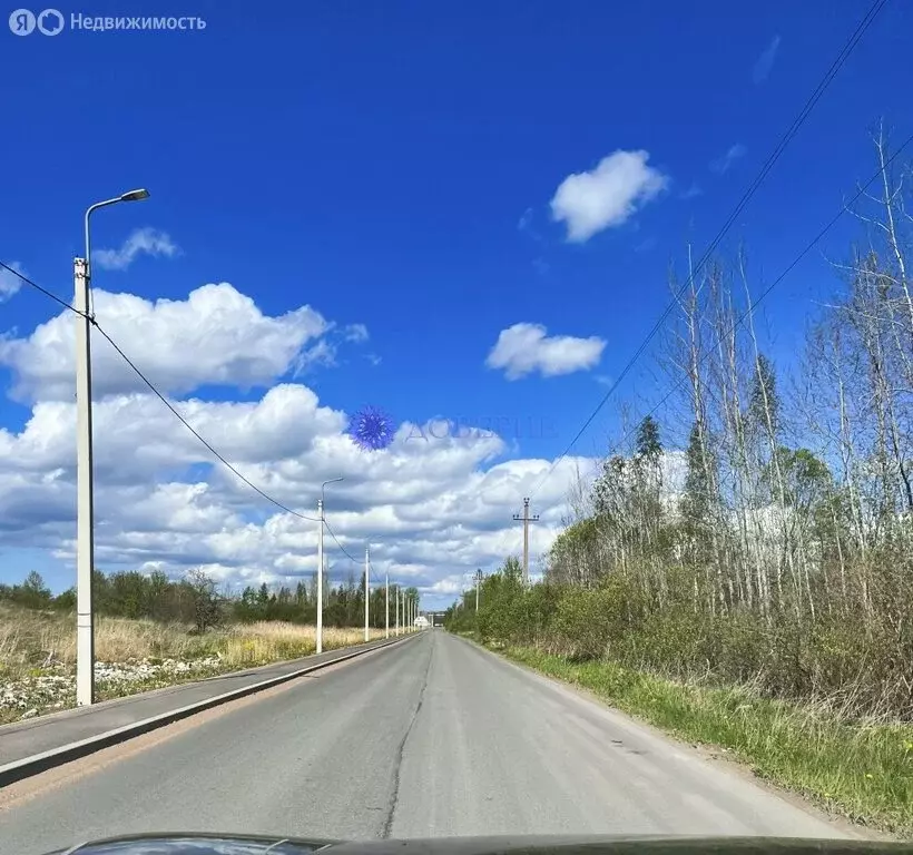Участок в Ивангород, улица Красных Партизан, 16 (12 м) - Фото 2