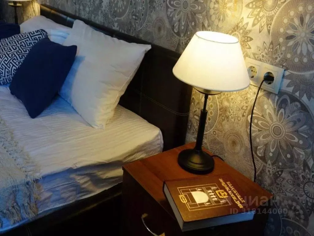 1-к кв. Калужская область, Калуга ул. Пестеля, 19 (48.0 м) - Фото 2