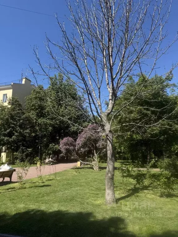 Комната Санкт-Петербург Загородный просп., 40 (24.0 м) - Фото 2