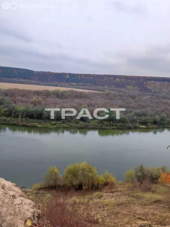 Дом в Рамонский район, Горожанское сельское поселение, деревня ... - Фото 1