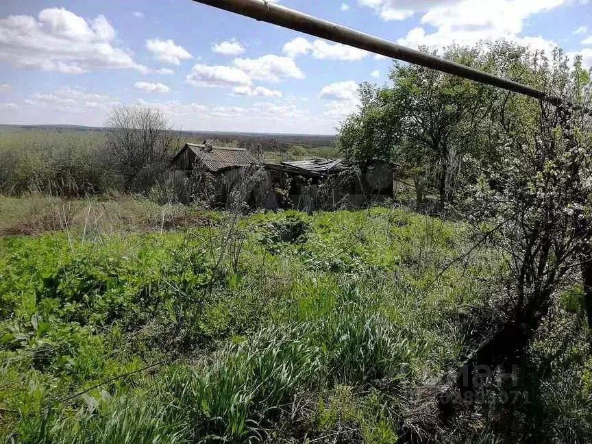 Участок в Саратовская область, Лысогорский район, Большерельненское ... - Фото 1