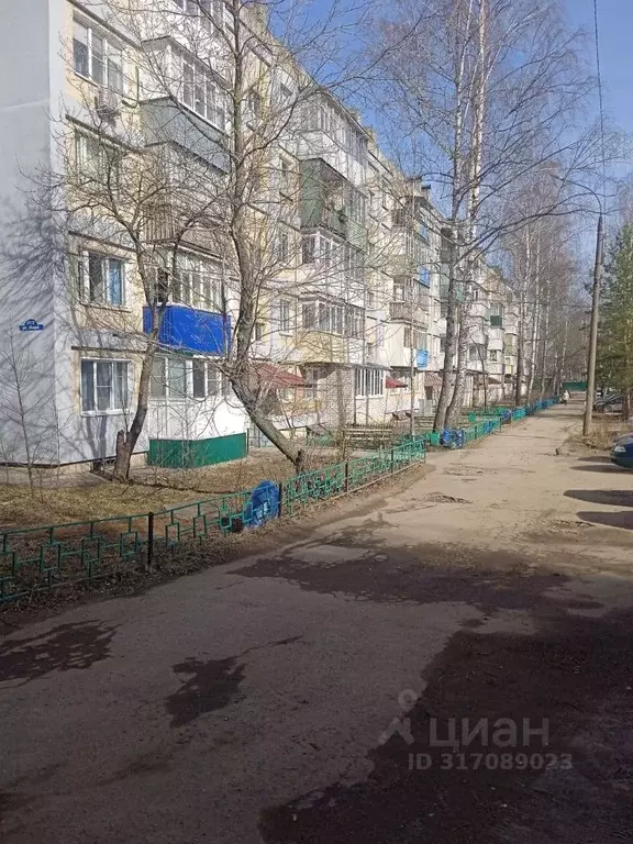 2-к кв. Нижегородская область, Арзамас ул. Мира, 21/2 (46.9 м) - Фото 1