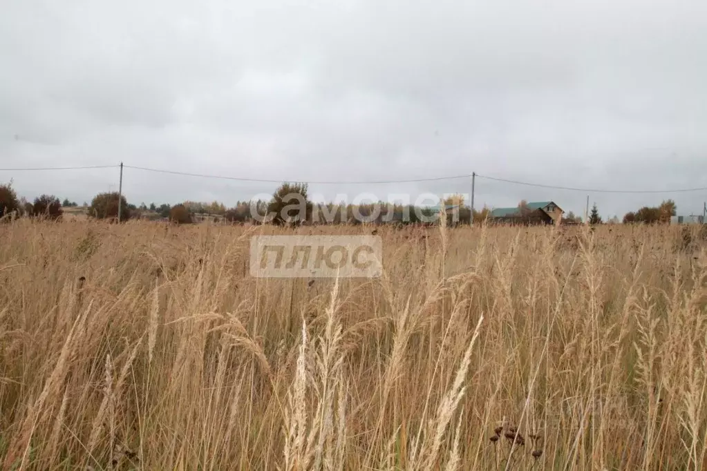 Участок в Ярославская область, Переславль-Залесский муниципальный ... - Фото 1