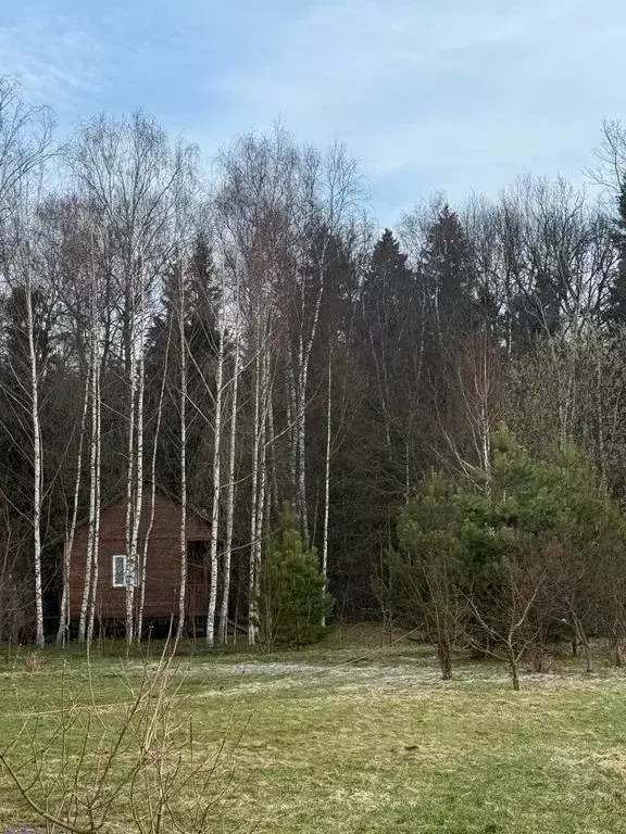 Дом в Московская область, Мытищи городской округ, д. Степаньково, ... - Фото 1