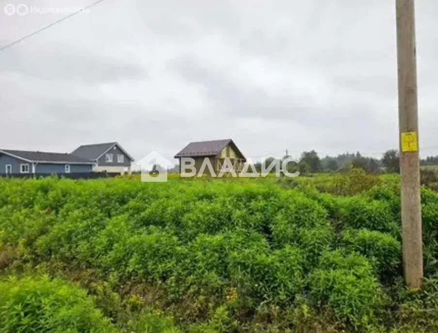 Участок в деревня Виркино, квартал Рядового Лодочкина (10.3 м) - Фото 1