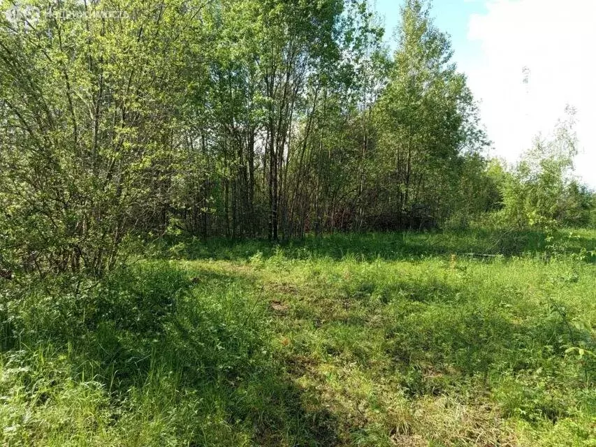 Участок в Сабское сельское поселение, деревня Лемовжа (12.5 м) - Фото 2