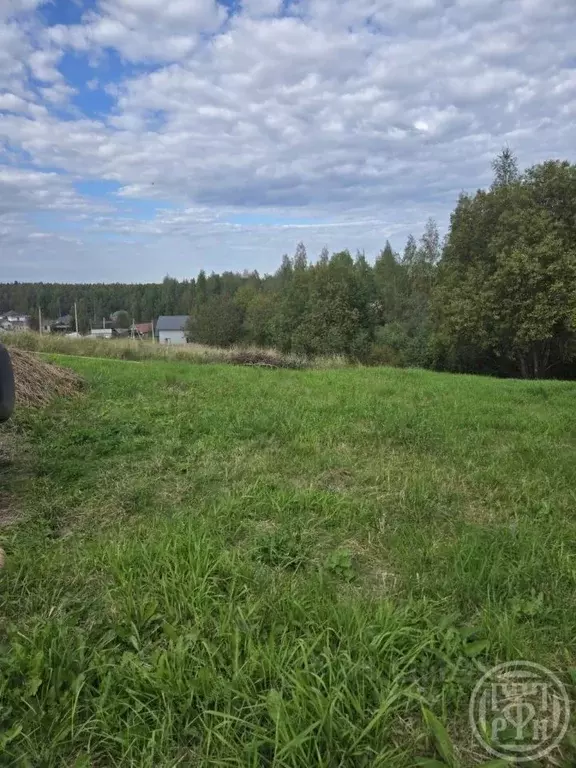 Участок в Ленинградская область, Всеволожский район, Рахьинское ... - Фото 2