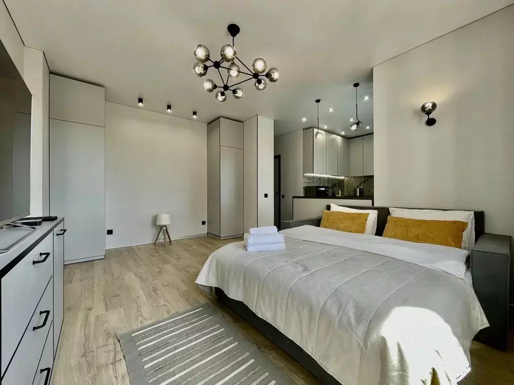 Студия Санкт-Петербург пос. Шушары, Московское ш., 262к4 (27.0 м) - Фото 1