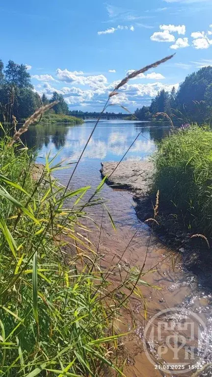 Участок в Ленинградская область, Всеволожский район, Свердловское ... - Фото 1