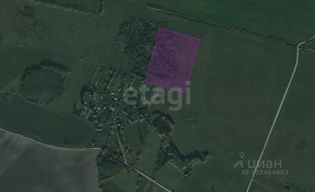 Участок в Вологодская область, Сокольский муниципальный округ, ... - Фото 1