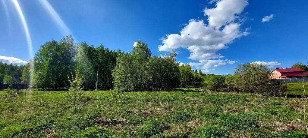 Участок в Нижегородская область, Богородский муниципальный округ, д. ... - Фото 1