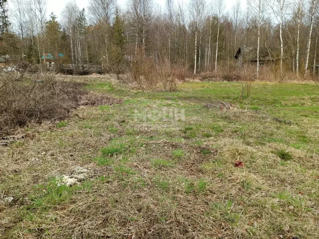 Участок в Чална, Октябрьская улица, 26 (15 м) - Фото 1