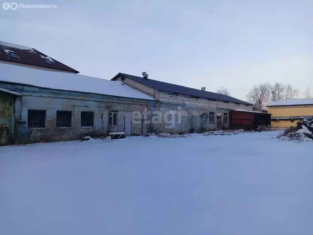 Участок в Ярославль (35 м) - Фото 1