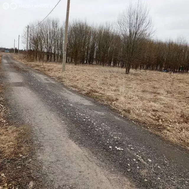 Участок в Ленинградская область, Волосовское городское поселение, ... - Фото 0