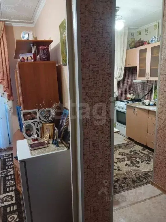 1-к кв. Алтайский край, Барнаул пер. Малый Прудской, 48А (23.8 м) - Фото 1