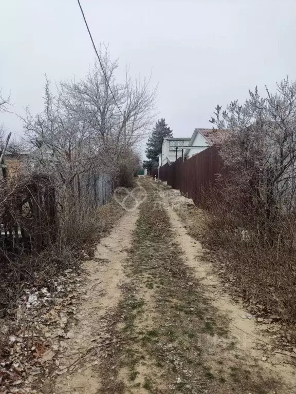 Участок в Волгоградская область, Городищенский район, Ерзовское ... - Фото 1