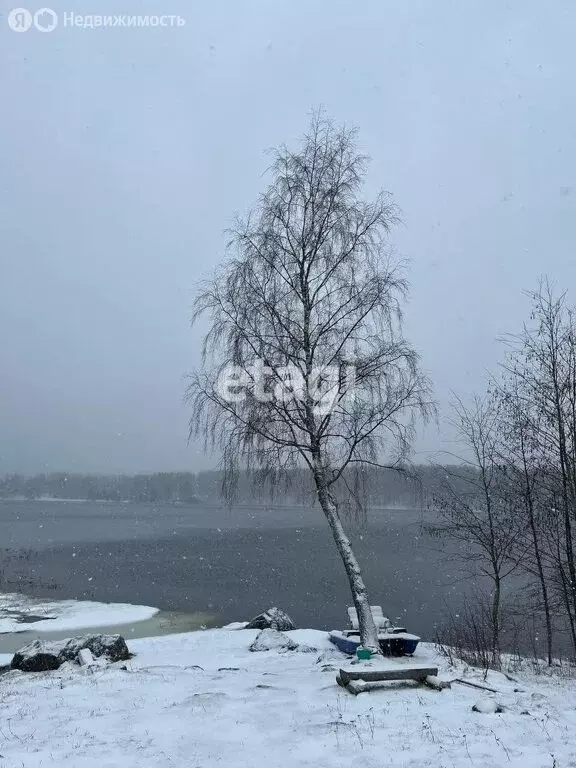 участок в приозерский район, ромашкинское сельское поселение, посёлок . - Фото 0