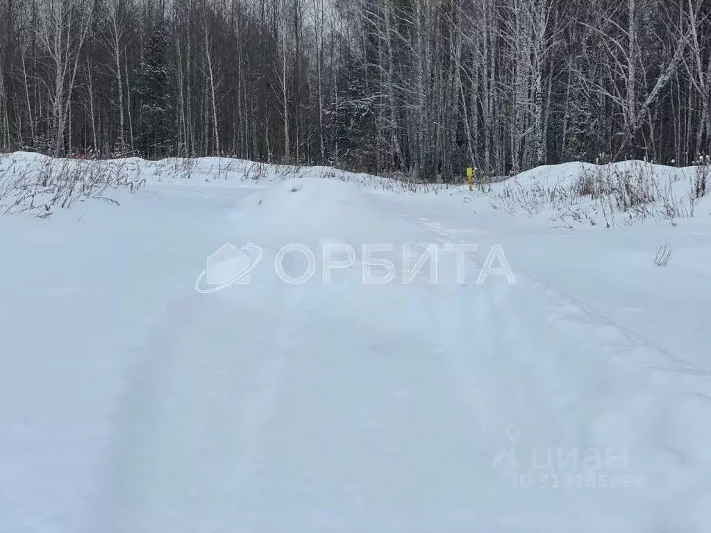 Участок в Тюменская область, Тюменский район, с. Кулига ул. ... - Фото 1