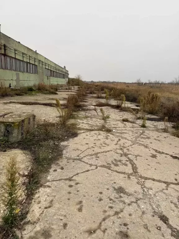 Производственное помещение в Волгоградская область, Волгоград ул. ... - Фото 1