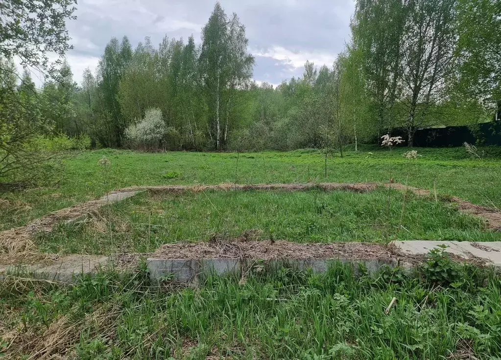 Участок в Московская область, Воскресенск городской округ, д. ... - Фото 1