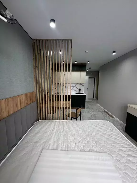 Студия Краснодарский край, Анапа муниципальный округ, с. Витязево ул. ... - Фото 1