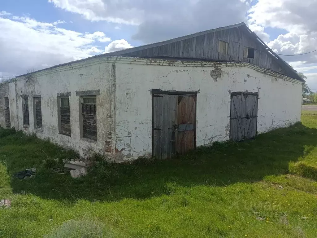 Помещение свободного назначения в Курганская область, Варгашинский ... - Фото 1