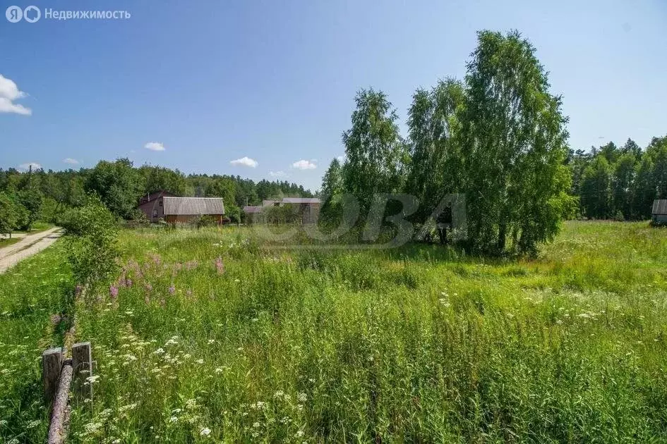 Участок в Нижнетавдинский район, деревня Штакульская (25 м) - Фото 1