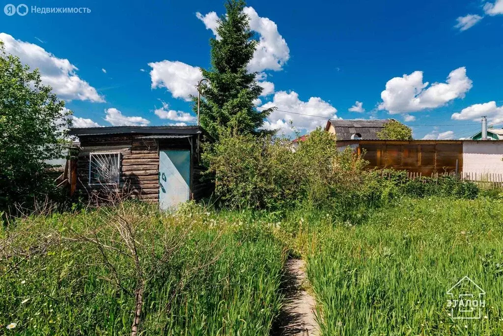 Участок в Омск, ТСН СНТ Ромашка, 13-я аллея, 8 (4.9 м) - Фото 0