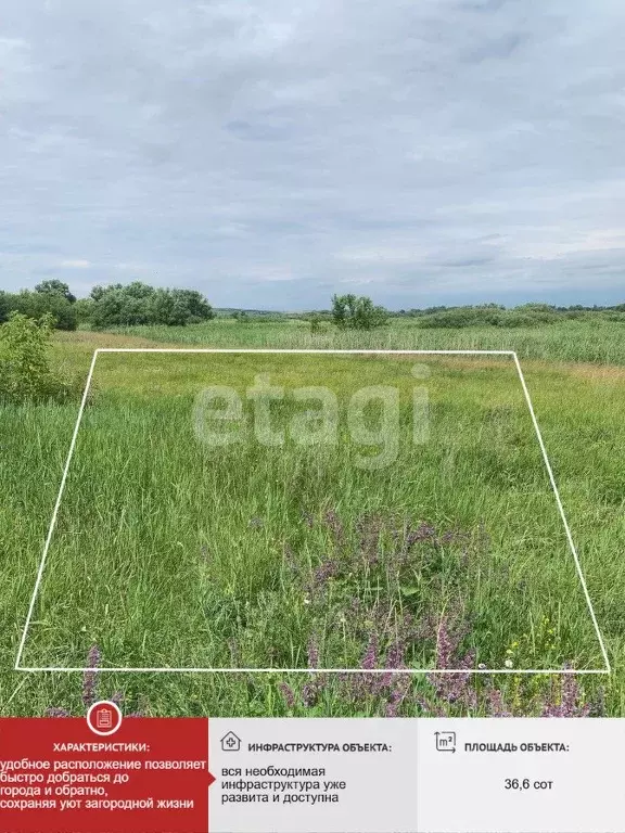 Участок в Белгородская область, Вейделевский район, с. Большие Липяги ... - Фото 2