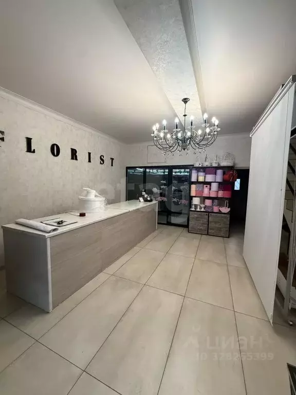 Торговая площадь в Северная Осетия, Владикавказ просп. Доватора, 6 ... - Фото 2