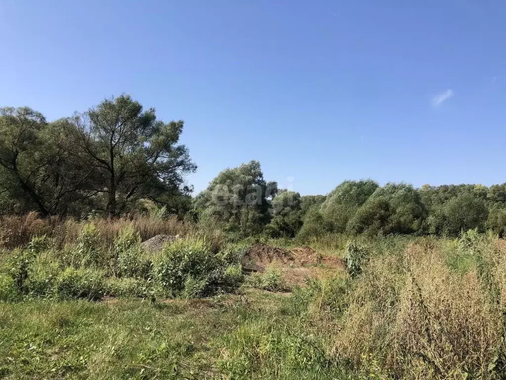 Участок в Белгородская область, Белгородский район, Тавровское с/пос, ... - Фото 1