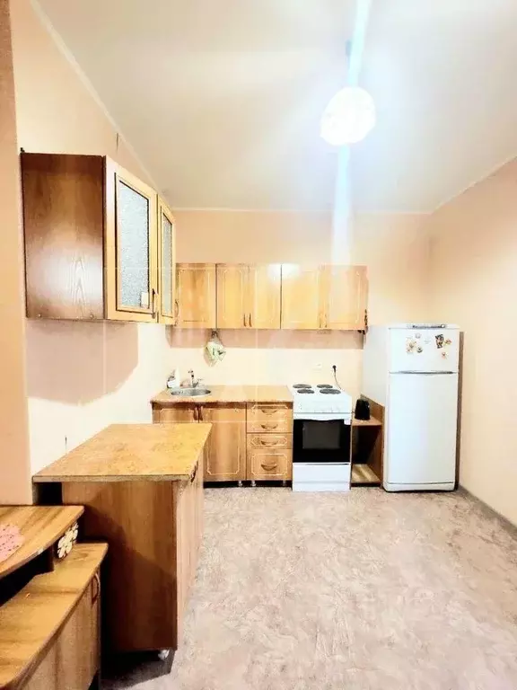 1-к кв. Воронежская область, Новоусманский район, пос. Отрадное ул. ... - Фото 2