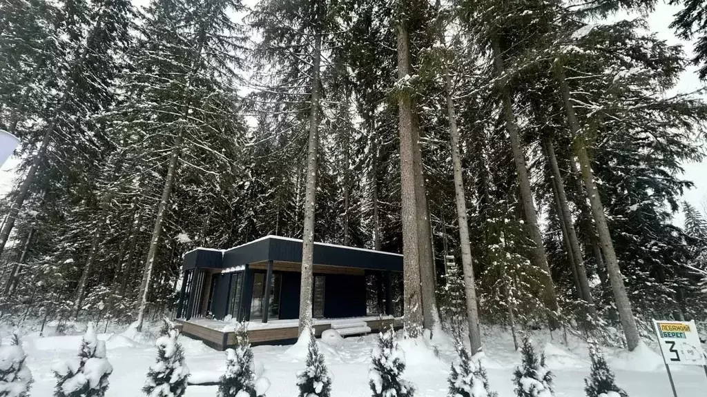 Дом в Ленинградская область, Выборгский район, Рощинское городское ... - Фото 1