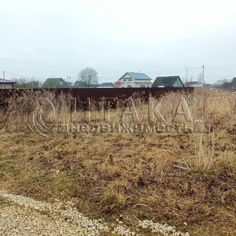 Участок в Кингисеппский район, Большелуцкое сельское поселение, ... - Фото 1