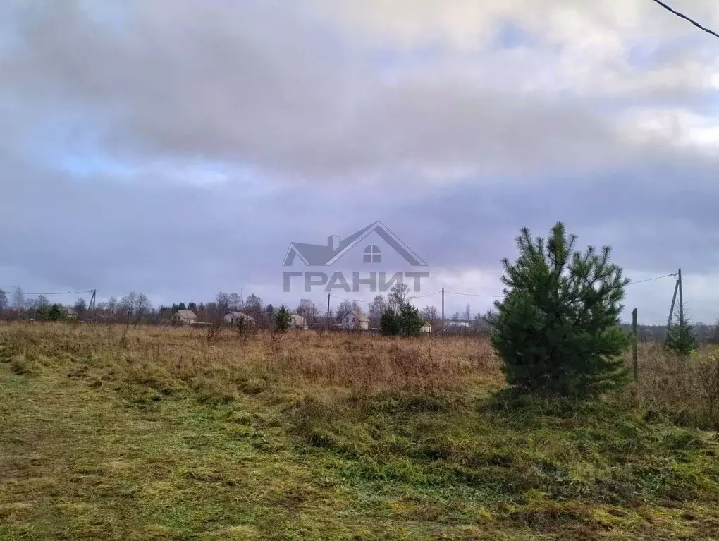 Участок в Новгородская область, Крестцы рп ул. Заветная (13.0 сот.) - Фото 2