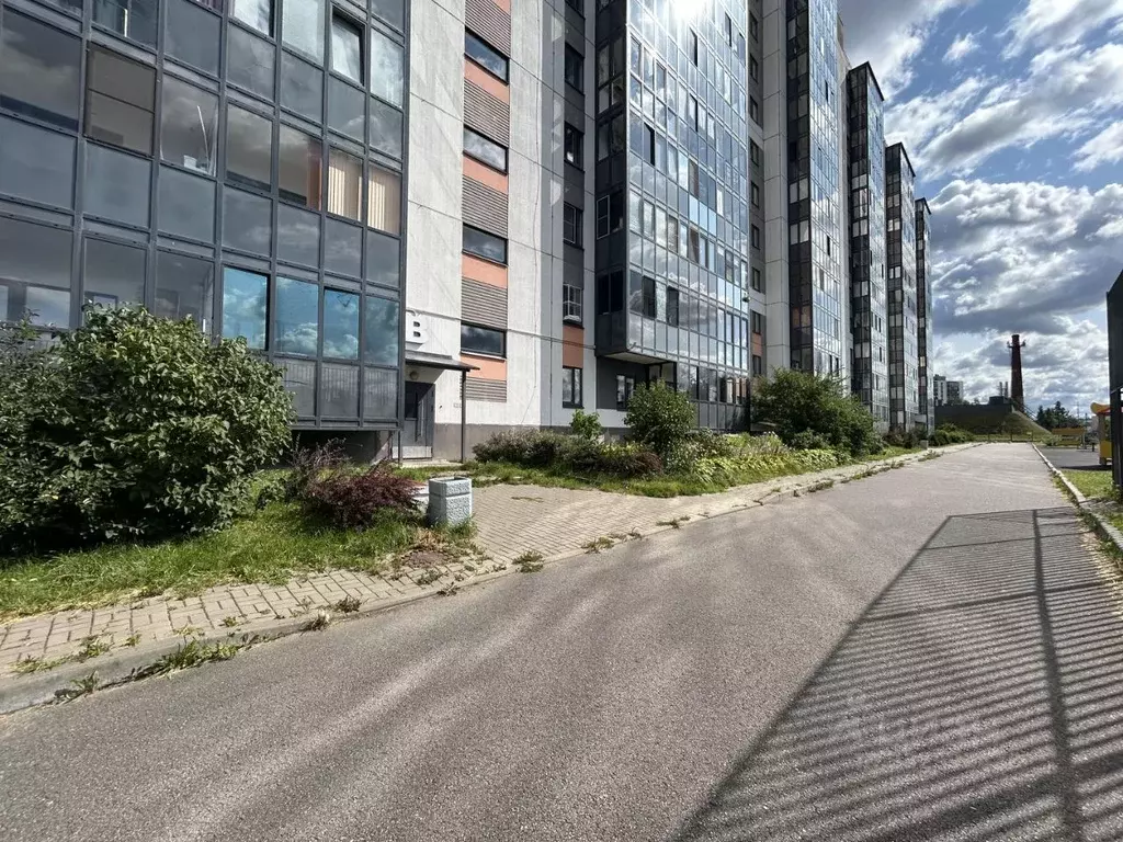 Студия Ленинградская область, Новоселье г. Ломоносовский район, ... - Фото 2