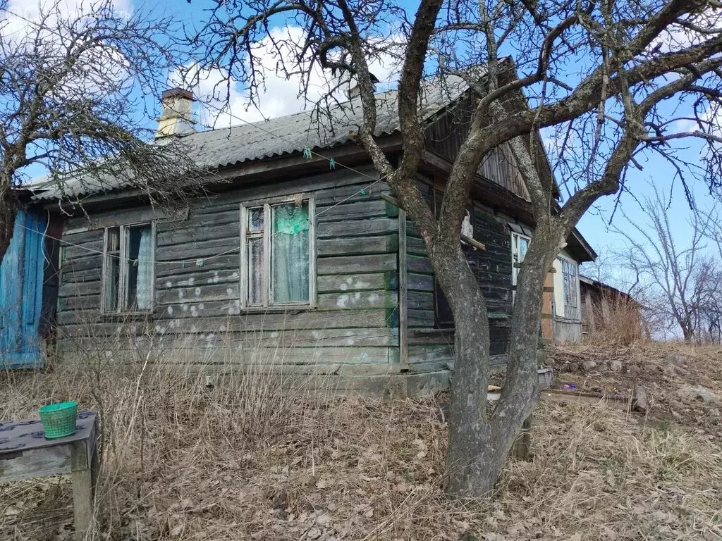 Дом в деревня Верхняя Бронна, Центральная улица, 31 (43 м) - Фото 2