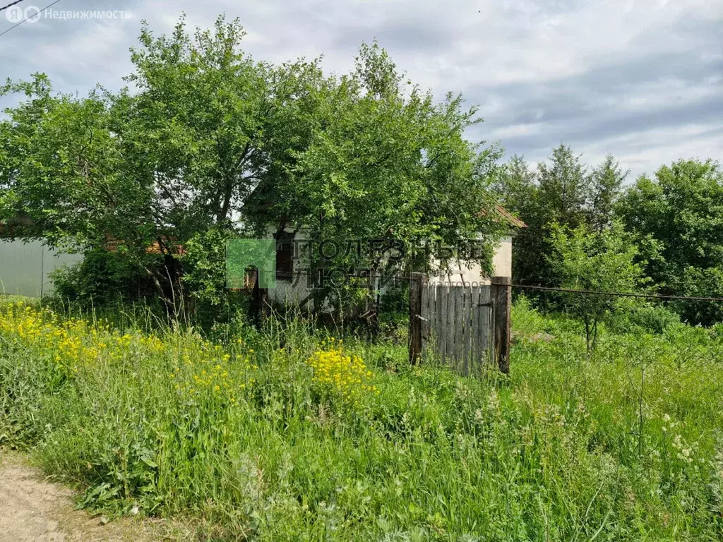 Участок в посёлок городского типа Нижние Вязовые, Ветровая улица (8 м) - Фото 1