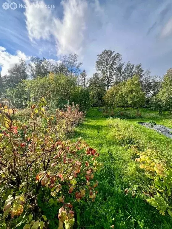 Дом в Санкт-Петербург, садоводство Знамя Октября, 3-я аллея (68 м) - Фото 1