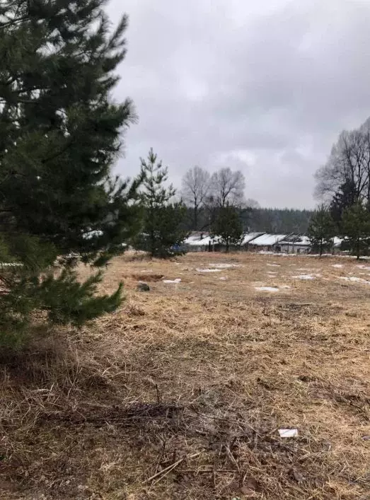 Участок в Московская область, Солнечногорск городской округ, пос. ... - Фото 0