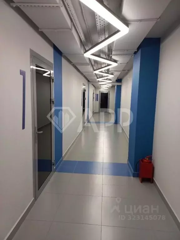 Офис в Татарстан, Казань ул. Вишневского, 59 (29 м) - Фото 1