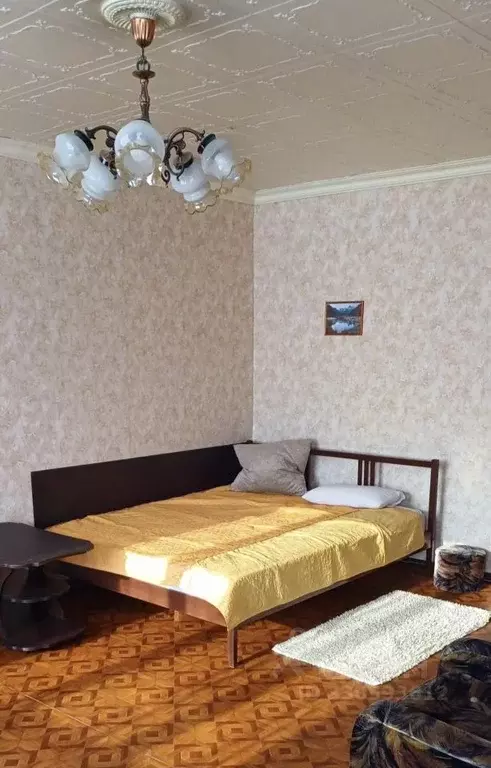 Студия Красноярский край, Красноярск ул. Бограда, 65 (32.0 м) - Фото 2