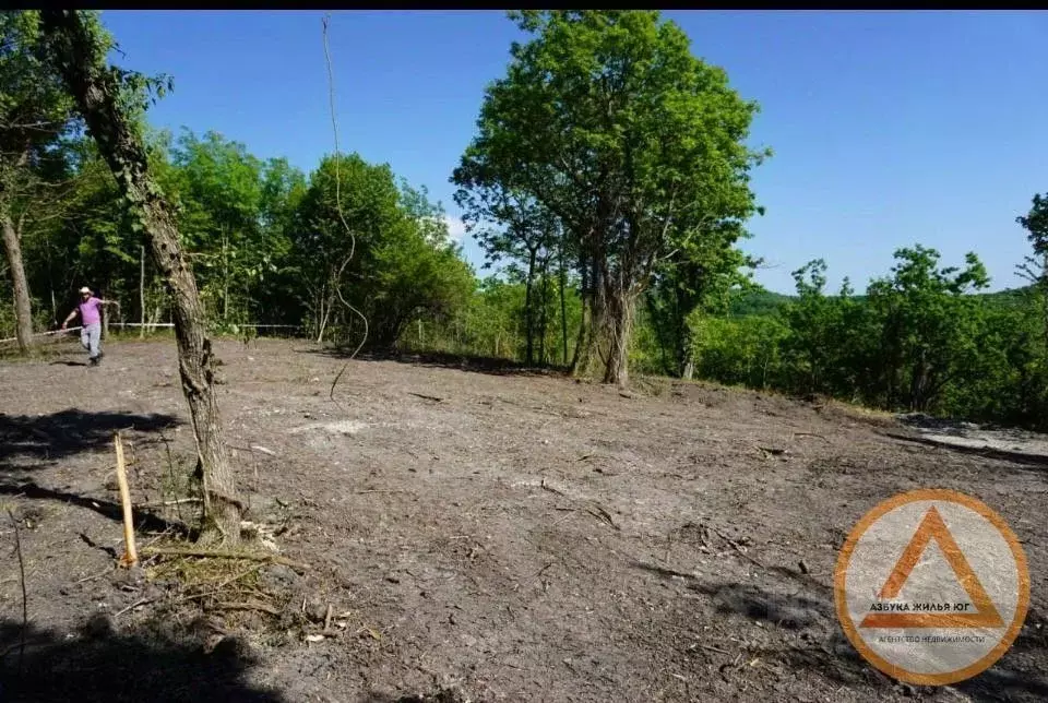 Участок в Краснодарский край, Туапсинский муниципальный округ, пос. ... - Фото 1