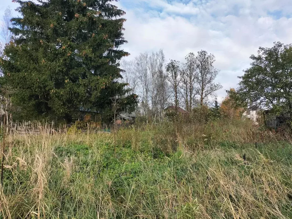 Участок в Ленинградская область, Кировский район, Шумское с/пос, пос. ... - Фото 2