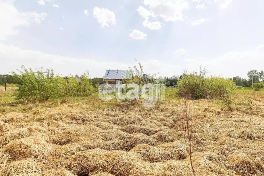 Участок в Тюменская область, Тюменский муниципальный округ, д. ... - Фото 1