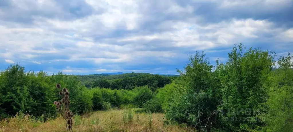 Участок в Краснодарский край, Северский район, Ильское городское ... - Фото 1